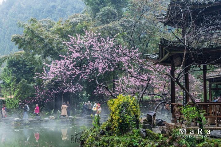 东风岚图与华为签署战略合作协议